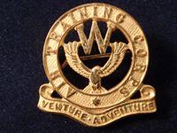 Air Training Corp Gilt Welfare Badge