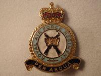 Q/C RAF Regiment Enamel Lapel Badge