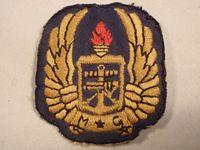 SA Army Gymnasium Cloth Badge