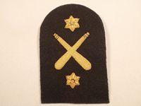 Royal Marines PTI Bullion Trade Badge