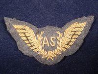 RAF Air Steward Bullion Mess Dress Wings