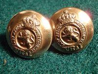 Pair V/R East Africa Protectorate Epaulette Buttons 