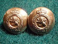 V/R East Africa Protectorate Pair of Buttons