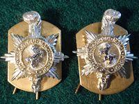 The Princess of Wales's Royal Regiment Collar Badges