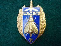 P.M.S Unknown French Breast Badge