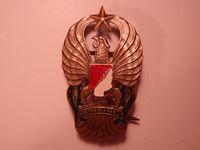 Indonesian Military Forces Hat Badge