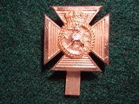 Duke of Edinburgh's Royal Regt Cap Badge