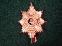 Worcestershire & Sherwood Foresters Regt Cap Badge