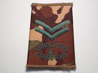 Worcesters & Foresters Corporals Rank Slide