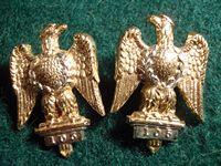 The Royal Dragoons Anodised Collar Badges