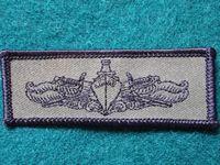 US Navy Subdued Surface Warfare Breast Badge
