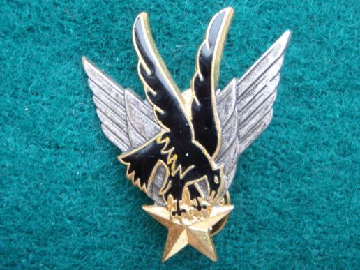 French Special Forces Para Badge