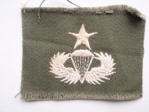 Vietnam Era US Senior Para Cloth Wing