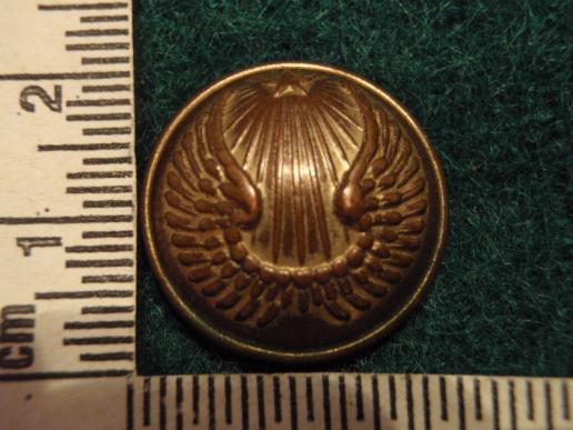 Early French Airforce Button