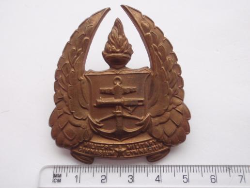 South African Army Gymnasium Cap Badge 