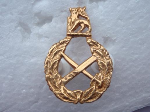 S.A General Officers Rank Gilt Lapel Badge