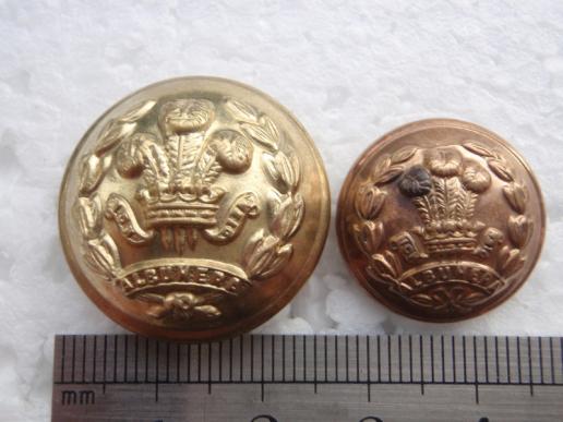 The Middlesex Regt (Duke of Cambridges Own ) Button