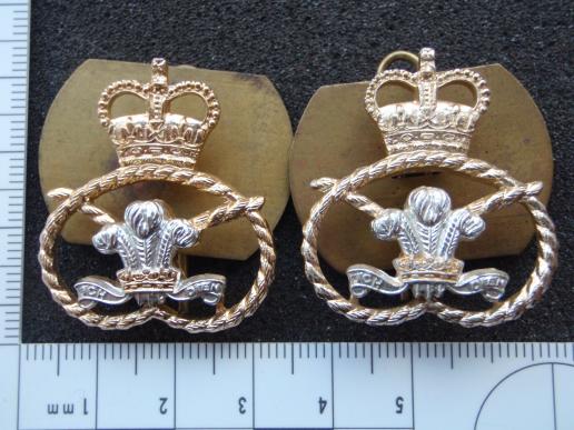The Staffordshire Regt Anodised Collar Badges