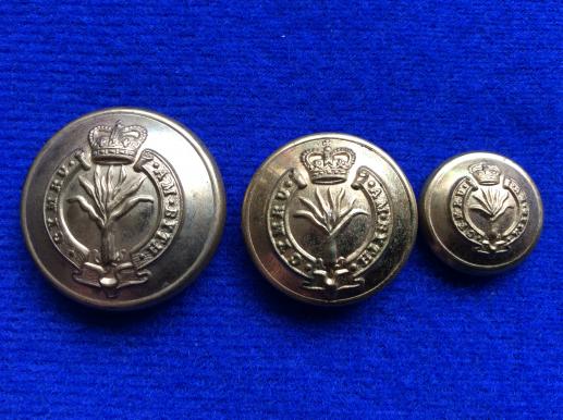 Post 1952 Welsh Guards Gilt Buttons