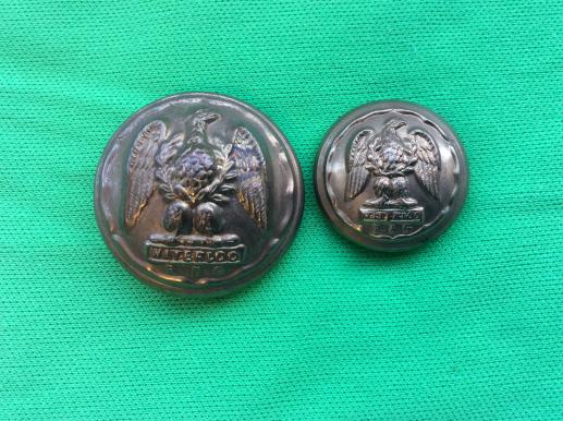 Royal Scots Greys Brass Buttons 