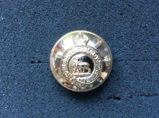 The Royal Warwickshire Regiment Anodised K/C Button 