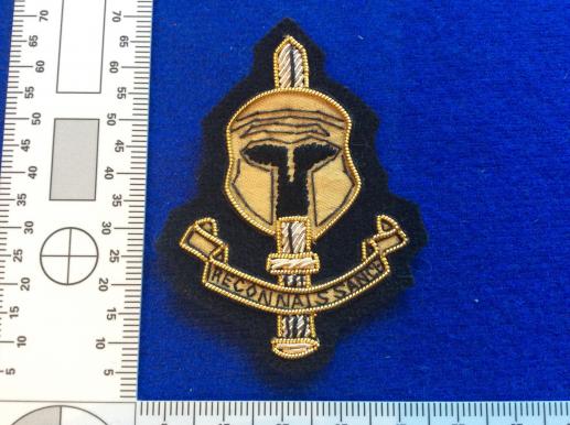 Special Reconnaissance Regiment Officers Beret badge
