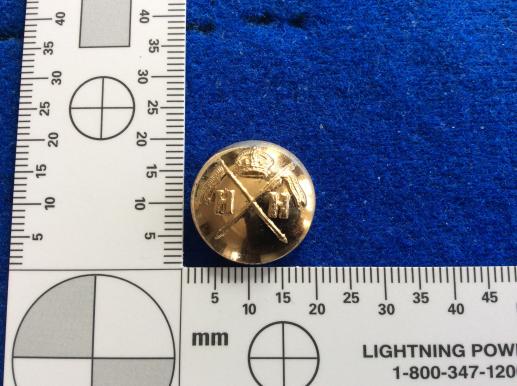 4th Duke Of Cambridge’s Own Hobsons Horse Button 