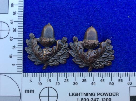 The Cheshire Regiment Bronze OSD Collar badges