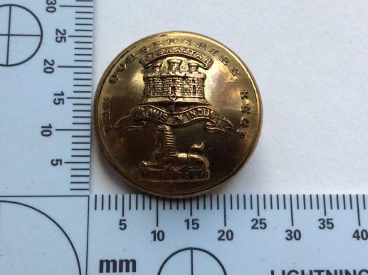 The Dorsetshire Regiment Gilt Button By Firmin 