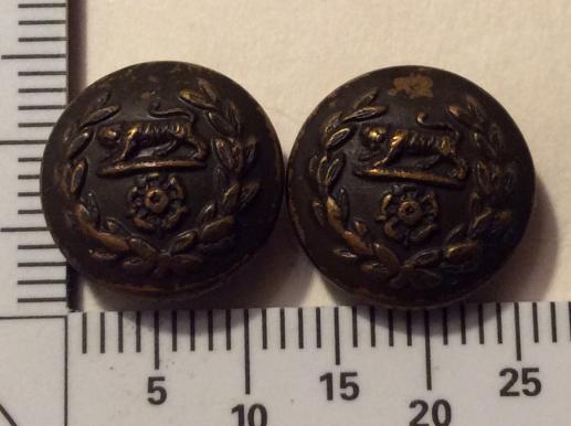 Post 1881The Royal Hampshire Regiment OSD Hat Buttons 