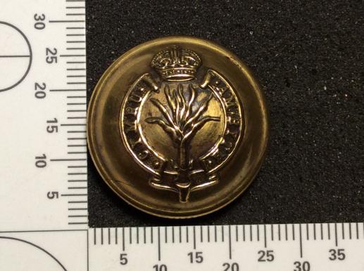 The Welsh Guards 1914-52 large 25mm brass button 