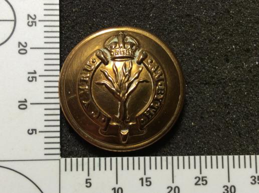 Welsh Guards large 24mm Button by Pitt