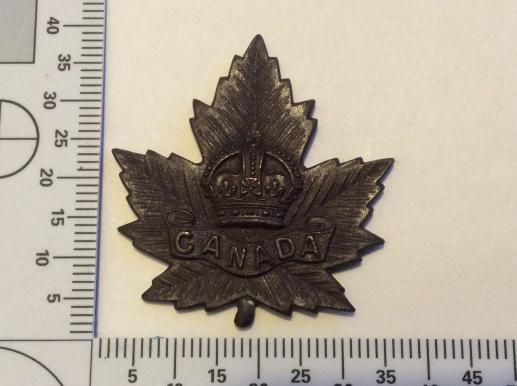 WW1 Canadian Expeditionary Force General list cap badge