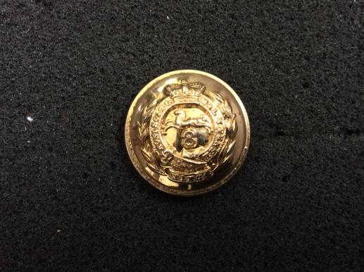 The 8th  ( The Kings) Regiment Of Foot Officers Gilt Button 