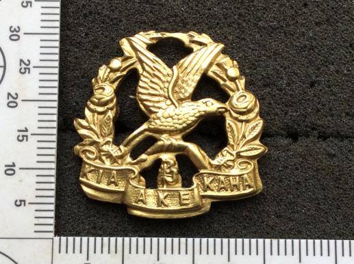WW1 N.Z 14th ( South Otago Rifles) Regiment Collar Badge 