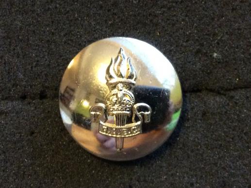 Anodised K/C Royal Army Education Corps Large Button 