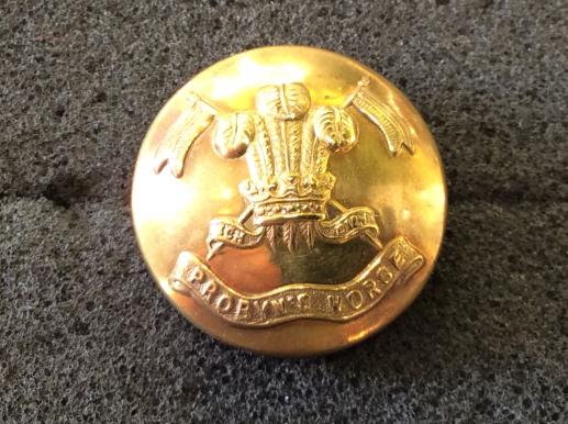 WW2 5th King Edwards Own ‘Probyns Horse’ large button