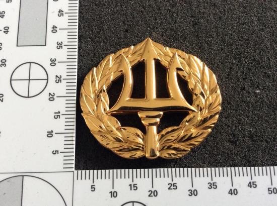 U.S Navy Command Ashore Project Manager Breast badge