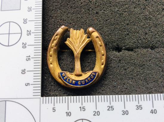 Welsh Guards Brass horseshoe Sweetheart brooch