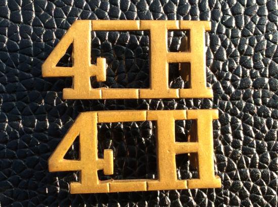 4th Hussars Brass Shoulder Titles