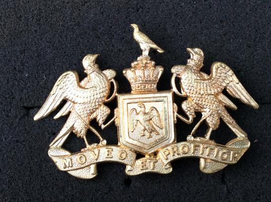 WW1 New Zealand 8th (South Canterbury) Mounted Rifles Cap badge