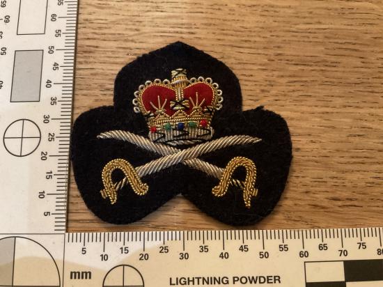 Officers Physical Training Corps Beret Badge