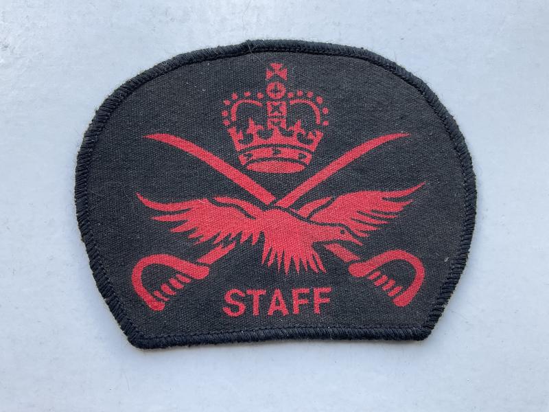 R.A.F Physical Training Instructors tracksuit badge
