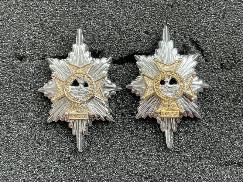 The Worcestershire Regiment anodised collar badges
