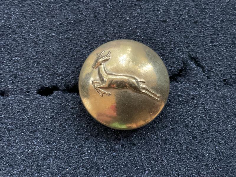 South African Infantry brass button