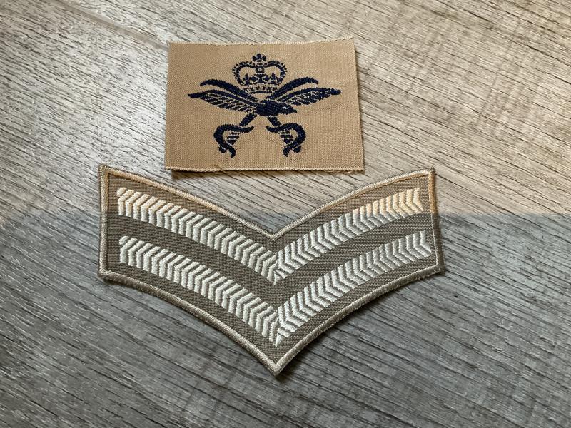 RAF PTIs tropical trade badge