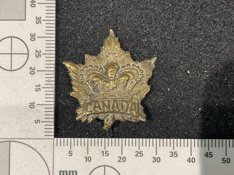 QVC / Boer war Canadian Military forces general service collar