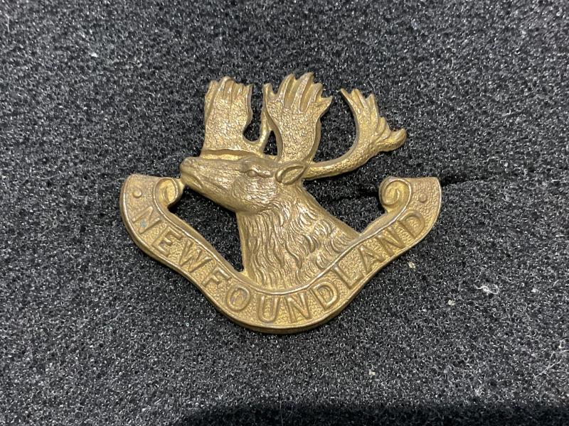 WW1 1st Newfoundland Regiment cap badge