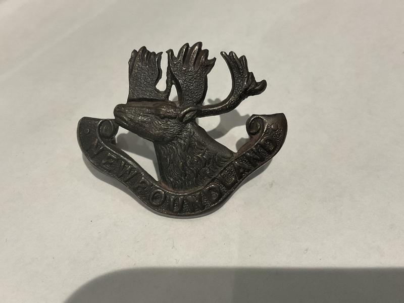 WW1 Newfoundland Regiment O.S.D cap badge