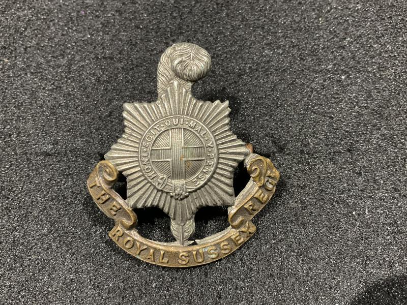 Victorian/Edwardian The Royal Sussex Regt cap badge